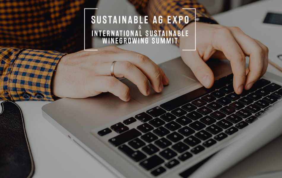 You Must Do This to Earn CE!